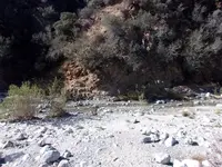 100_0056.webp