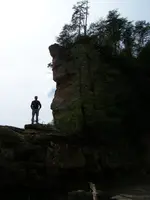 Dex standing on line of rocks.webp