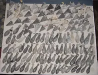 C00194.webp