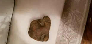 20180219_195233.webp