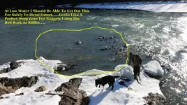 Drop Zone.webp