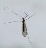 DSCN7946.webp