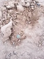 20180211_071049.webp