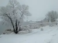 walk 021018 1.webp