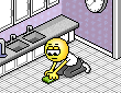 floor scrub.gif
