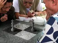 261655AFie_w.webp