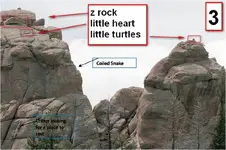 TLH Colied Snake & Critter.webp