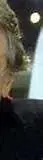 4.webp