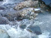 1 st. dreding attempt 016.webp