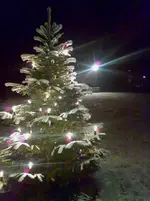 Xmas 1.webp