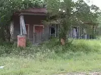 GayHillGenStore.webp