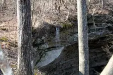 IMG_1184.webp IMG_1184.webp