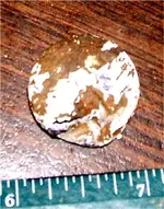 treasure 004.webp