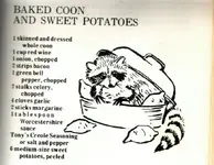 coon (3).webp