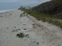Beach 004.webp