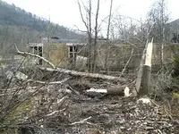 TBuildingWing.webp