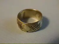 Feb10-2008goldring.webp
