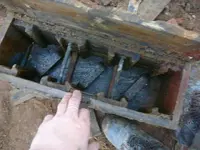 с-ин 073.webp