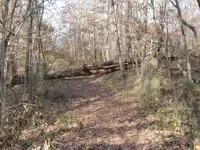 winoka03.webp