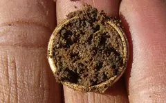 AH Gold Ring 3.webp