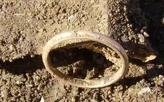 AH Gold Ring 5.webp