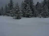 smaller winter yard.webp