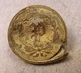 policebuttoncwera.webp