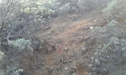 20180311_164057.webp