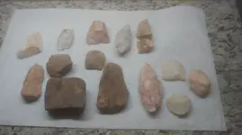 IMAG0097.webp