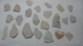 IMAG0100.webp