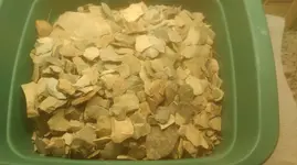 IMAG0102.webp IMAG0102.webp