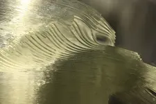 17 layers close up.webp