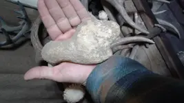 20180129_072107.webp