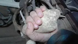 20180129_072056.webp