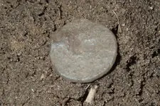 1903 Indian Axe Head Lead Seal Schultz 006.webp