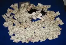 Cat Money.webp