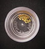 goldie2.webp