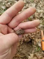 20180317_110546.webp