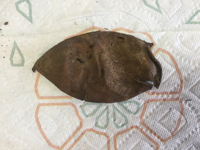 ImageUploadedByTreasureNet.com1521320249.121590.webp