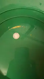 20180310_171540.webp