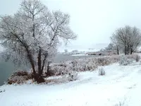 snowy_1.webp