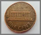 penny_back.webp