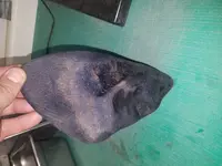 20180227_004533.webp