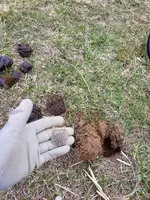 20180317_170749.webp