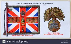 Canadian Grenadier Badge.webp