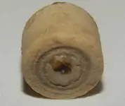 DSCN8919.webp