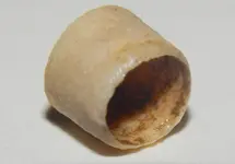 DSCN8921.webp