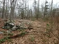 P3040027.webp