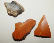 DSCN8846.webp