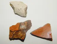 DSCN8847.webp